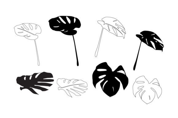 Monstera Deliciosa for Patterns: A Designer's Review of Graphics